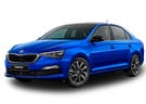 EVA коврики на Skoda Rapid II 2019 - 2025 в Волгограде
