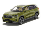 Ворсовые коврики на Skoda Kodiaq II 2023 - 2025 в Волгограде