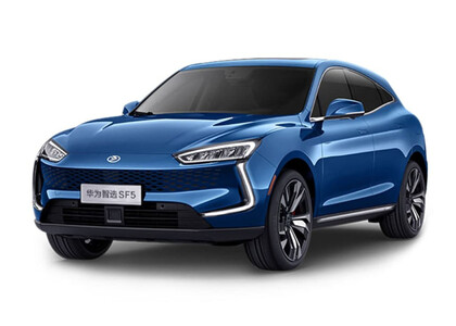 Ворсовые коврики на Seres SF5 2019&nbsp;-&nbsp;2022 в Волгограде