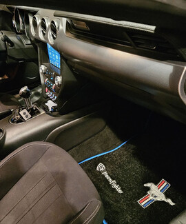 Коврики на Ford Mustang VI 2013&nbsp;-&nbsp;2023 в Волгограде