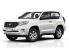Ворсовые коврики на Toyota Land Cruiser Prado 150 2009 - 2023 в Волгограде