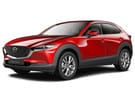 Коврики на Mazda CX30 2019 - 2025 в Волгограде