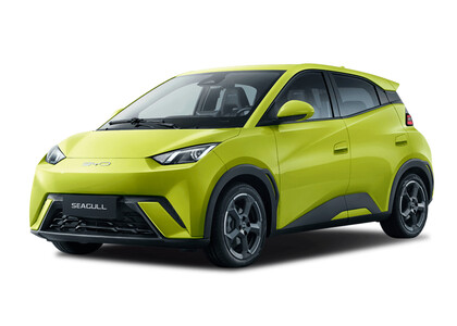 Коврики на BYD Seagull 1 2023&nbsp;-&nbsp;2026 в Волгограде