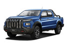 Коврики на JAC T9 2021 - 2025 в Волгограде