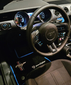 Коврики на Ford Mustang VI 2013&nbsp;-&nbsp;2023 в Волгограде