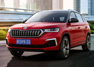 Ворсовые коврики на Skoda Kamiq 2018 - 2025 в Волгограде