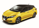 EVA коврики на Nissan Leaf (ZE1) 2017 - 2025 в Волгограде