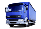 Ворсовые коврики на DAF LF 2001 - 2025 в Волгограде