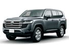 EVA коврики на Toyota Land Cruiser 300 2021 - 2025 в Волгограде